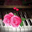 www.hamtaraneh.com