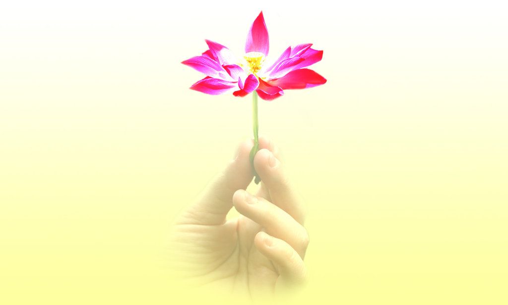 www.hamtaraneh.com