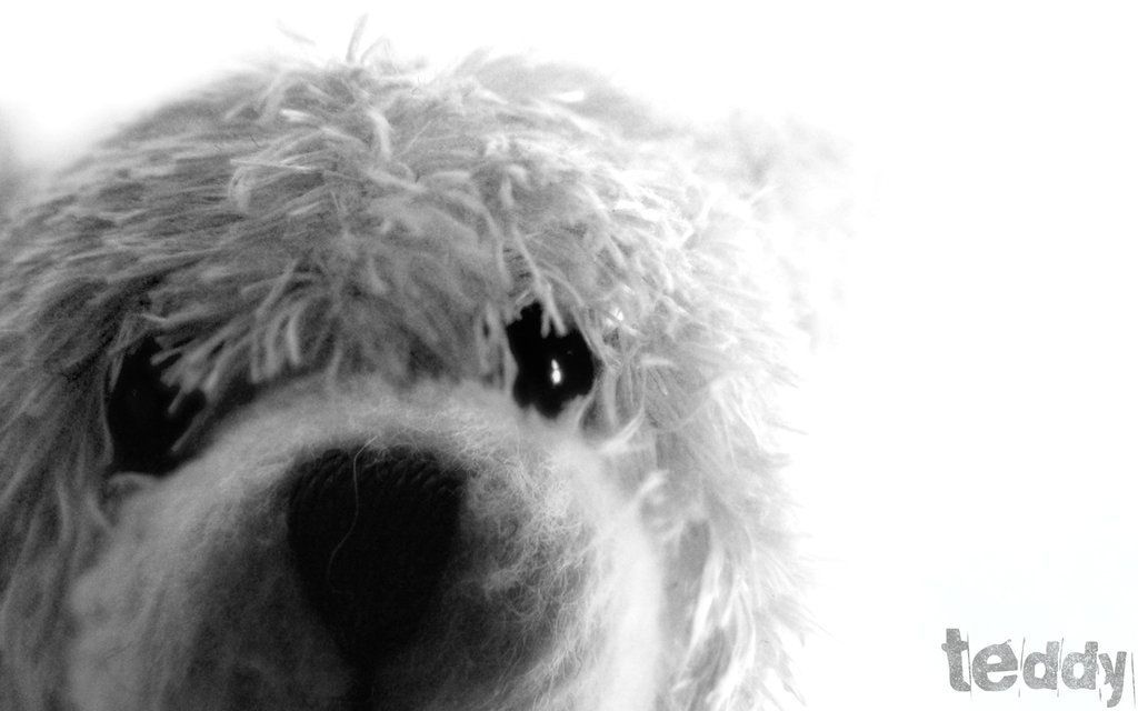 nounours marionnaud 2019