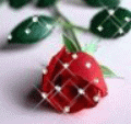 www.hamtaraneh.com